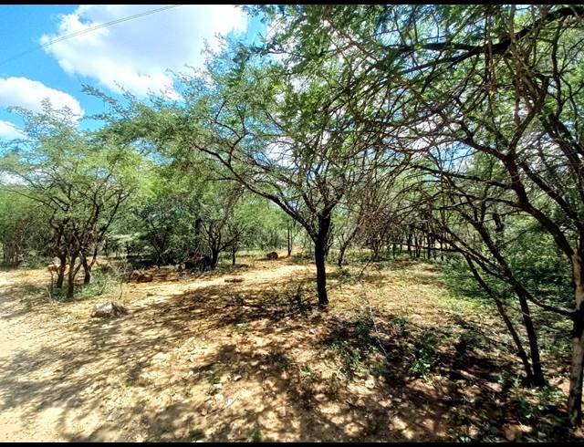 10,000M² VACANT LAND FOR SALE IN GREENSTONE WILDLIFE ESTATE